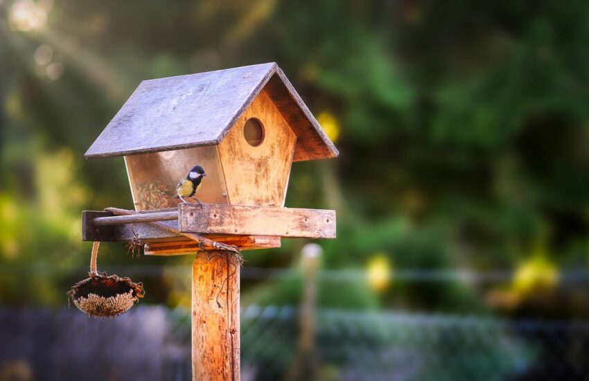 Vogelfutter für das Vogelfutterhaus