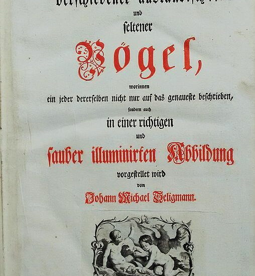 Geschichte der Ornithologie