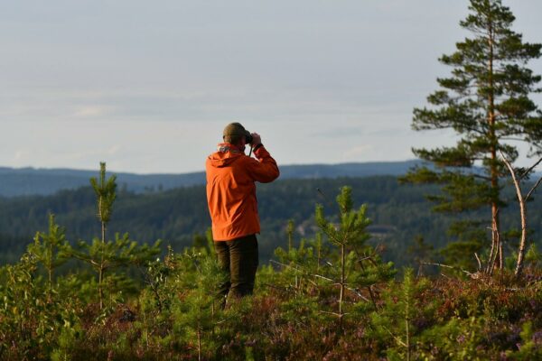 Vogelbeobachtung mit Fernglas als Ornithologe