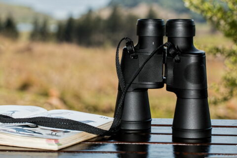 Fernglas zur Vogelbeobachtung