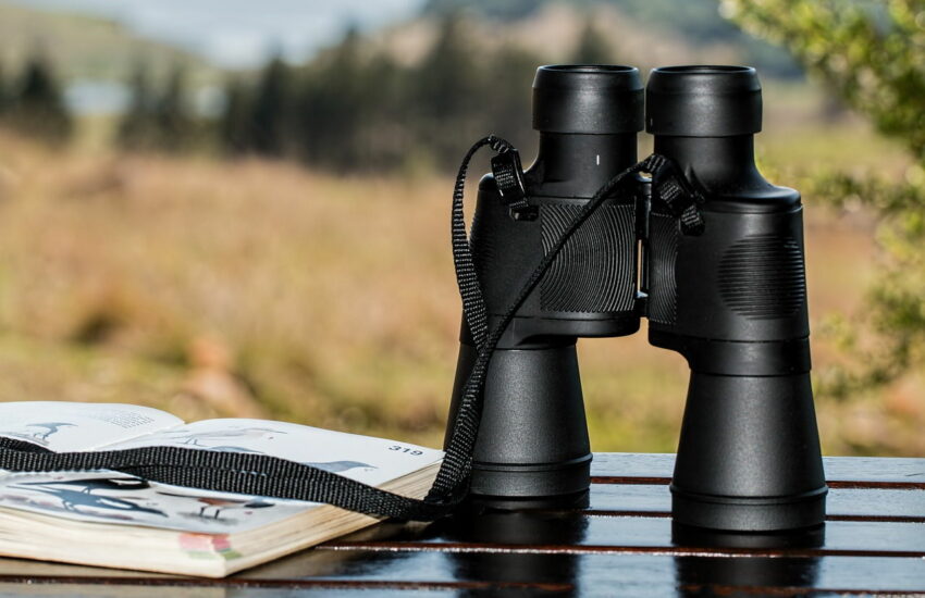 Fernglas zur Vogelbeobachtung