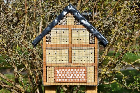 Insektenhotel im Garten