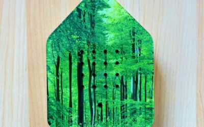 Zwitscherbox Modell Wald von Relaxound